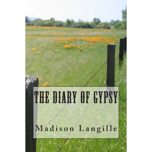 (영문도서) The Diary of Gypsy Paperback, Createspace Independent Pub..., English, 9781507678633