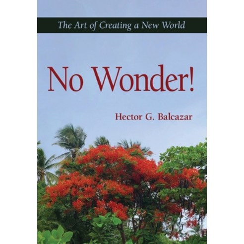 (영문도서) No Wonder!: The Art of Creating a New World Hardcover, Gatekeeper Press, English, 9781662943003