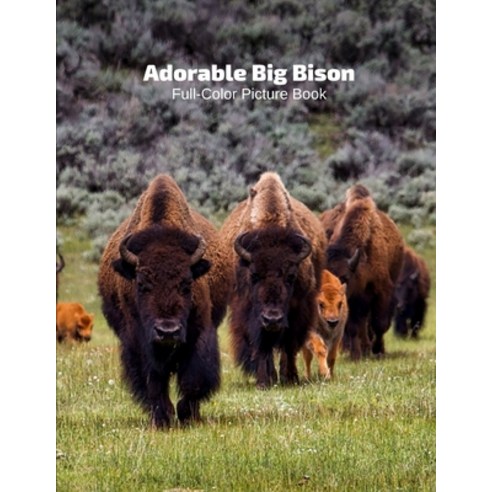 Adorable Big Bison Full-Color Picture Book: Buffaloes Picture Book - Nature American Buffalo Animals Paperback, Independently Published