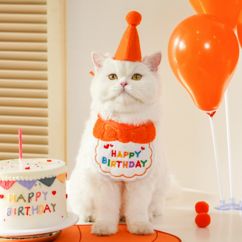 고양이 생일 파티 고깔 모자 케이프 세트 강아지 돌잔치 반려묘 반려견 꼬깔 애견 턱받이 용품 사진 소품 스카프 잔치, 1개, 주황색