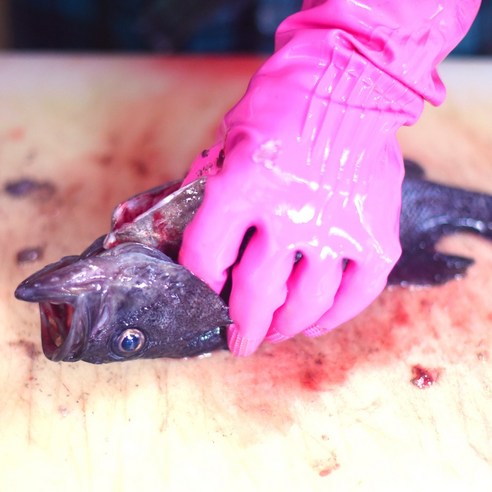 칼질 똥손도 셰프처럼, 남해안 손질 우럭으로 근사한 한 상!