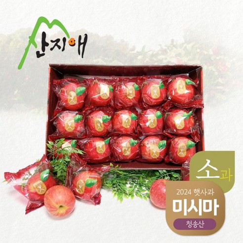 산지애 씻어나온 어린이 꿀사과: 청송의 햇살을 담은 달콤한 유혹, 그러나 아쉬움이 남는 선택 산지애사과