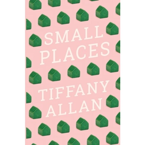 (영문도서) Small Places Paperback, Tiffany Allan, English, 9780473579425