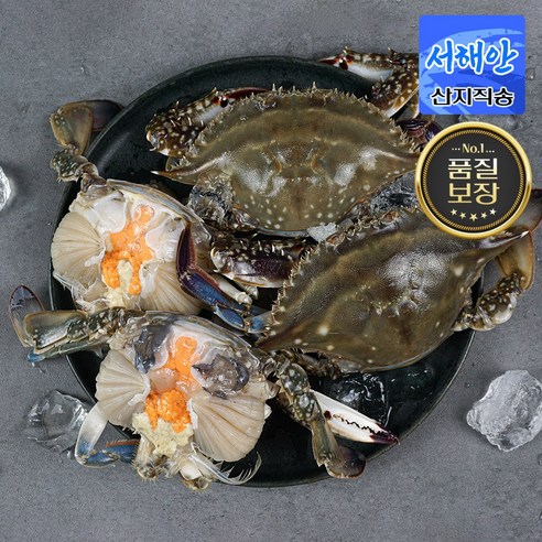 [당일조업] 서해안 제철 활 꽃게 암꽃게 숫꽃게 햇꽃게 생물 냉동, 꽃게 1kg, 1개
