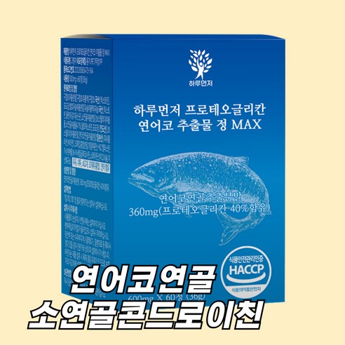 하루먼저 프로테오글리칸 맥스 600mg 연어코연골 소연골 콘드로이친 보스웰리아 프리테오글리칸 프로태오글리칸, 1개, 60정