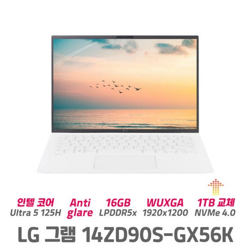 LG그램 14ZD90S-GX56K 24년 울트라5 16GB SSD 업그레이드 사무용 학생용 가벼움, Free DOS, 1TB, 화이트