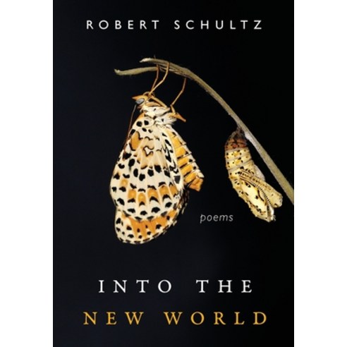 (영문도서) Into the New World Hardcover, Slant Books, English, 9781639820825