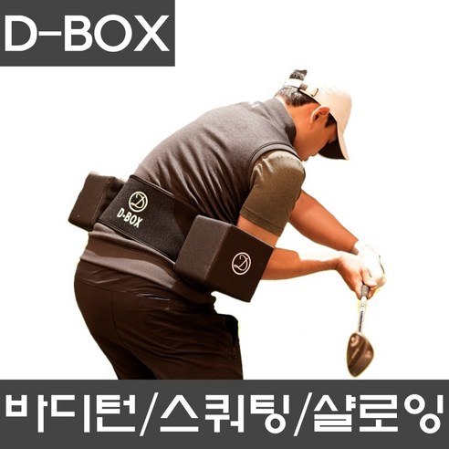 디박스 몸통스윙 실내 골프스윙연습기 스윙기 골프밴드 비거리로프 체중이동 치킨윙교정 지박스 리뷰 후기