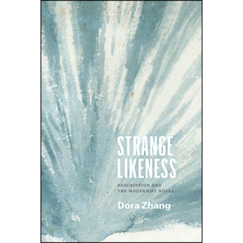 Strange Likeness: Description and the Modernist Novel Paperback, University of Chicago Press