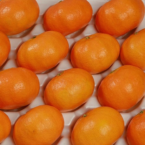 제주직송 프리미엄 레드향 2KG 2개 구매시 추가 500g, 레드향 가정용 4.5KG 중과, 1개
