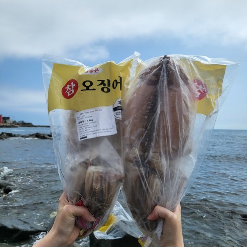 반건조 오징어 10마리 1.4kg, 1개, 반건조오징어 10마리 1.4kg