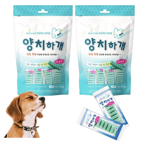 사랑하는 반려견의 건강한 미소를 위한 선택, 양치하개 덴탈껌!