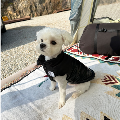 다이개 강아지 패딩 도그페이스패딩 조끼패딩, S