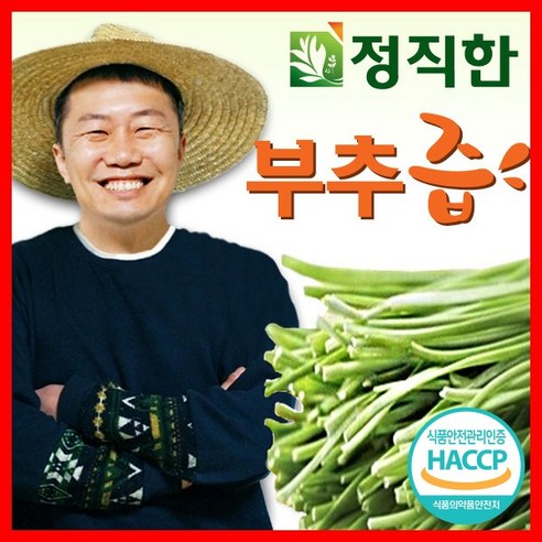 정직한건강즙 정직한 부추즙 국내산 부추엑기스, 1개, 3.3L