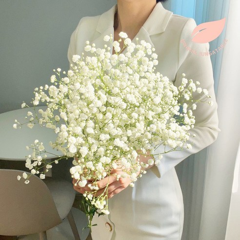 결혼식 날의 모든 순간을 아름답게 장식하는 섬세하고 신선한 안개꽃 생화 꽃다발