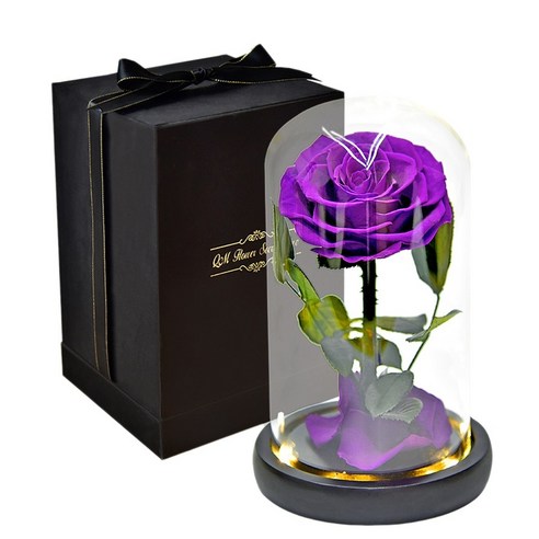 Monland 발렌타인의 어머니 날 선물 상자 보라색을위한 유리 돔 램프에 영원한 영원히 보존 된 꽃을 지속하는 장미, 퍼플 블랙