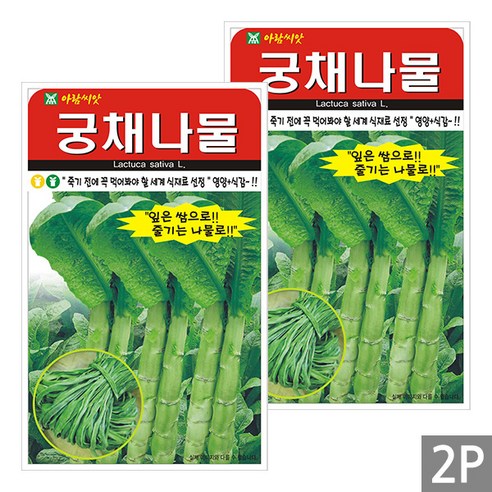 세인화분 궁채 나물 500립 - 국산 뚱채 씨 씨앗 줄기 상추, 2개