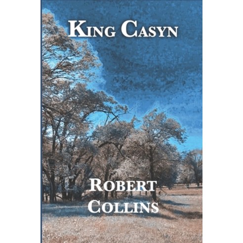 (영문도서) King Casyn Paperback, Independently Published, English, 9798859133956
