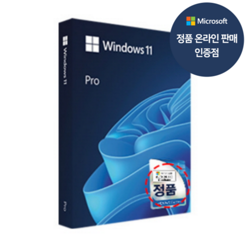 마이크로소프트 Windows 11 Pro FPP 한글 USB 타입
