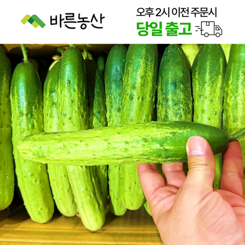  바른농산  국내산 오이 다다기오이 백오이 못난이 상품 1박스(35~45개), 35~45개, 1개