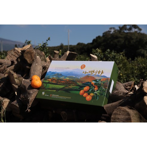 탐스러운 제주 카라향, 온 가족 행복 충전!