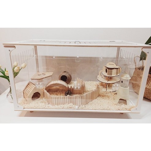 햄스터의 행복한 생활을 위한 완벽한 선택