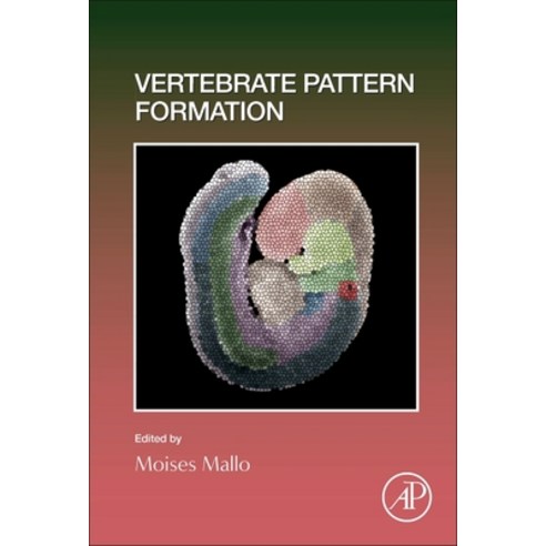 (영문도서) Vertebrate Pattern Formation: Volume 159 Hardcover, Academic Press, English, 9780128234617