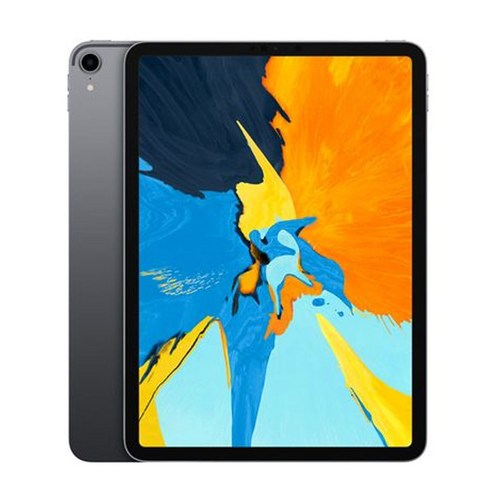 A급중고 애플 아이패드 프로 11형 1세대 WIFI 64GB/256GB/512GB, 스페이스그레이, 256GB