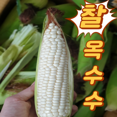 <즉시출고>선별한 햇옥수수 국내산 찰옥수수 미백옥수수 흑옥수수 중품(9cm이상) 특품(14cm이상), 미백찰옥수수(특품14cm이상), 1개, 10개”></div>
<div style=