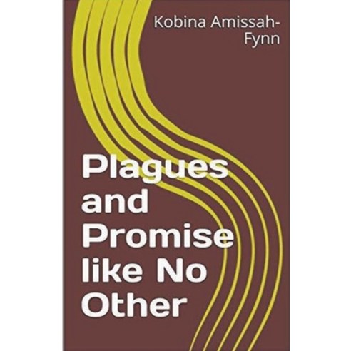 (영문도서) Plagues and Promise like No Other Paperback, Hope Books, English, 9798215046708