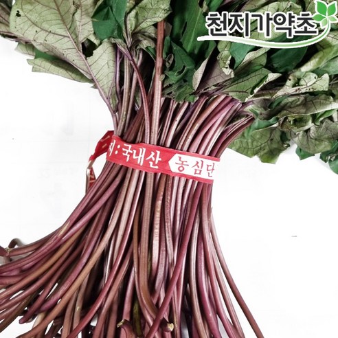 국산 햇 고구마줄기 1kg 고구마순 잎포함, 4kg, 1개