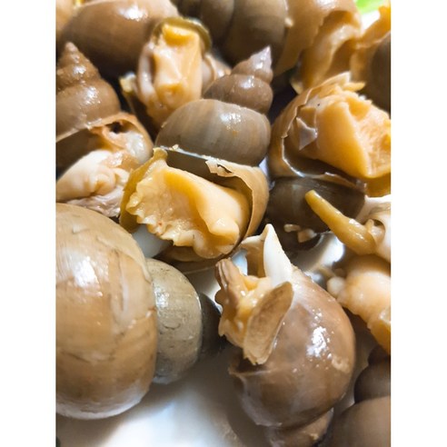 자연산 활 백골뱅이로 건강하고 맛있는 식사를 만드세요