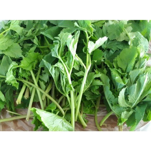 봄의 향기를 식탁에, 자연산 어수리나물로 건강과 풍미를 더하다.