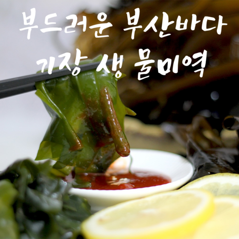부산 기장 앞바다 생물 물미역과 생미역 1kg 박스 (냉동미역 포함) 2kg 부산 기장 앞바다 생물 물미역과 생미역 1kg 박스 (냉동미역 포함) 2kg