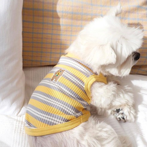 만족댕냥 강아지 곰돌이스트라이프 티셔츠, 옐로우