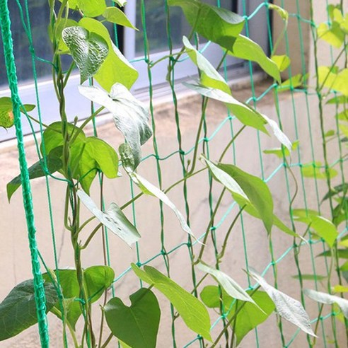 덩굴 식물 키우기, 이제 그물망 하나로 간편하게!