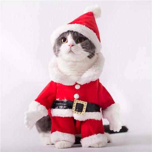 에쉬울프 고양이 강아지 애견 애묘 반려견 반려묘 애견의류, 산타복