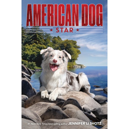 Star Hardcover, Houghton Mifflin