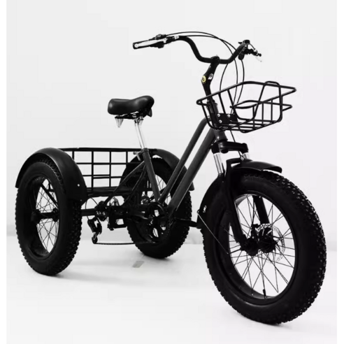 자유와 안전을 더하다: 성인을 위한 특별한 동반자, 삼륜 전기 자전거 삼륜전기자전거