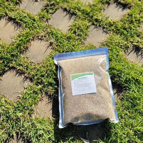 튼튼하고 내구성이 뛰어난 양잔디혼합종자로 아름다운 잔디밭을 만드세요