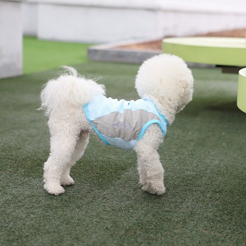 강아지 여름옷 메쉬 라이트 쿨나시, 스카이블루