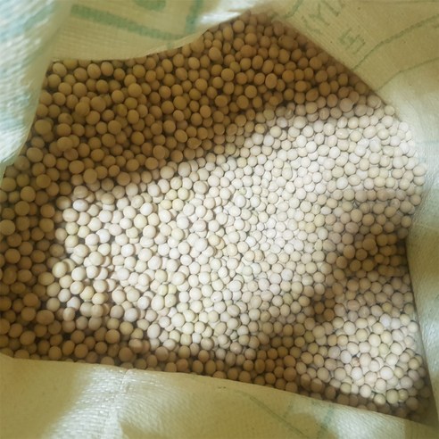 한국산 백태 메주콩 4kg/깨끗하게 선별된 백태콩, 1개 한국산 백태 메주콩 4kg/깨끗하게 선별된 백태콩, 1개