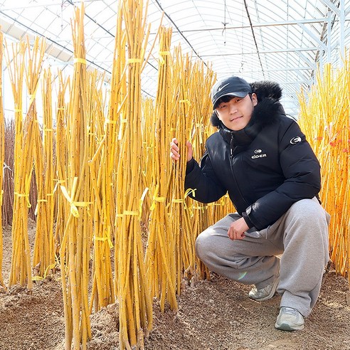 황금빛 행운을 심어, 꿈결 같은 정원을 완성하세요.