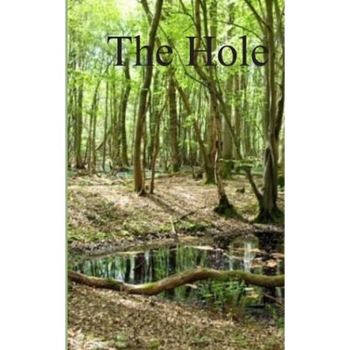 The Hole Paperback, Independently Published