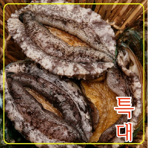 완도전복 왕특대 직거래 산지직송 산소포장 선물 세트, 1kg (대 14-15미), 1박스