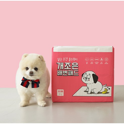 청결과 편리함을 동시에 제공하는 개조은 강아지 배변패드