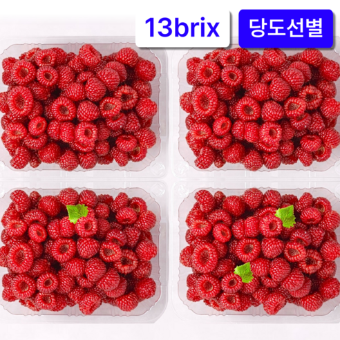 당도선별 제철과일 산딸기 생과, 4개, 250g