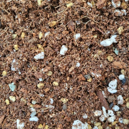 똥손도 금손 되는 마법, 월간화원 배합토!