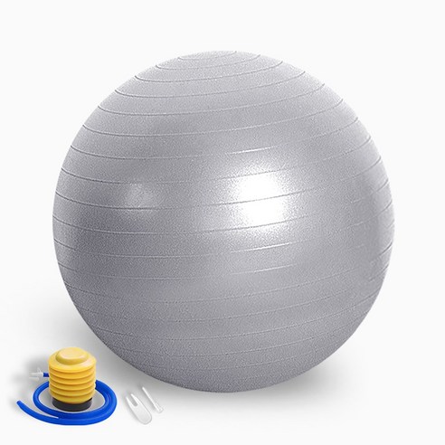 썸피트 안티버스트 짐볼 + 발 펌프, 실버그레이 55cm