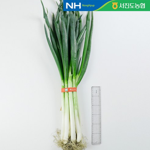 진도특산품, 국내산 손질 대파의 매력 진도대파